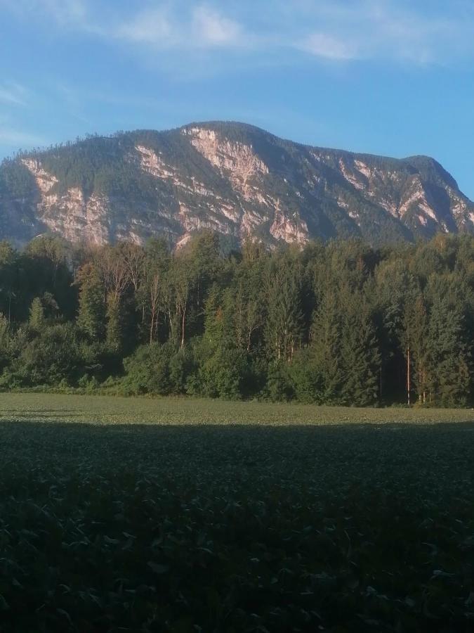 Appartment Resi Wohlfuehlen Und Relaxen Eberndorf Kültér fotó